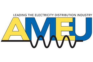 AMEU Logo